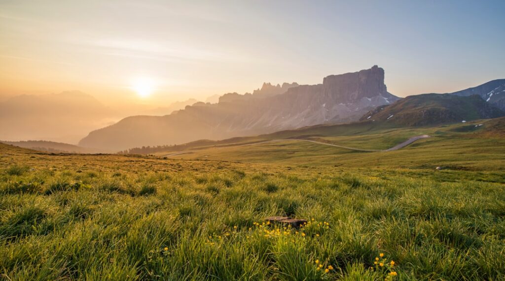 Photo Open fields